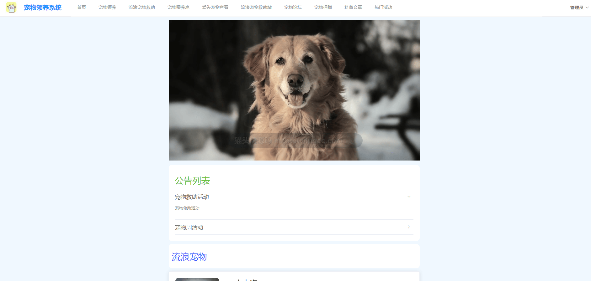 基于springboot+vue的宠物领养系统(前后端分离)封面