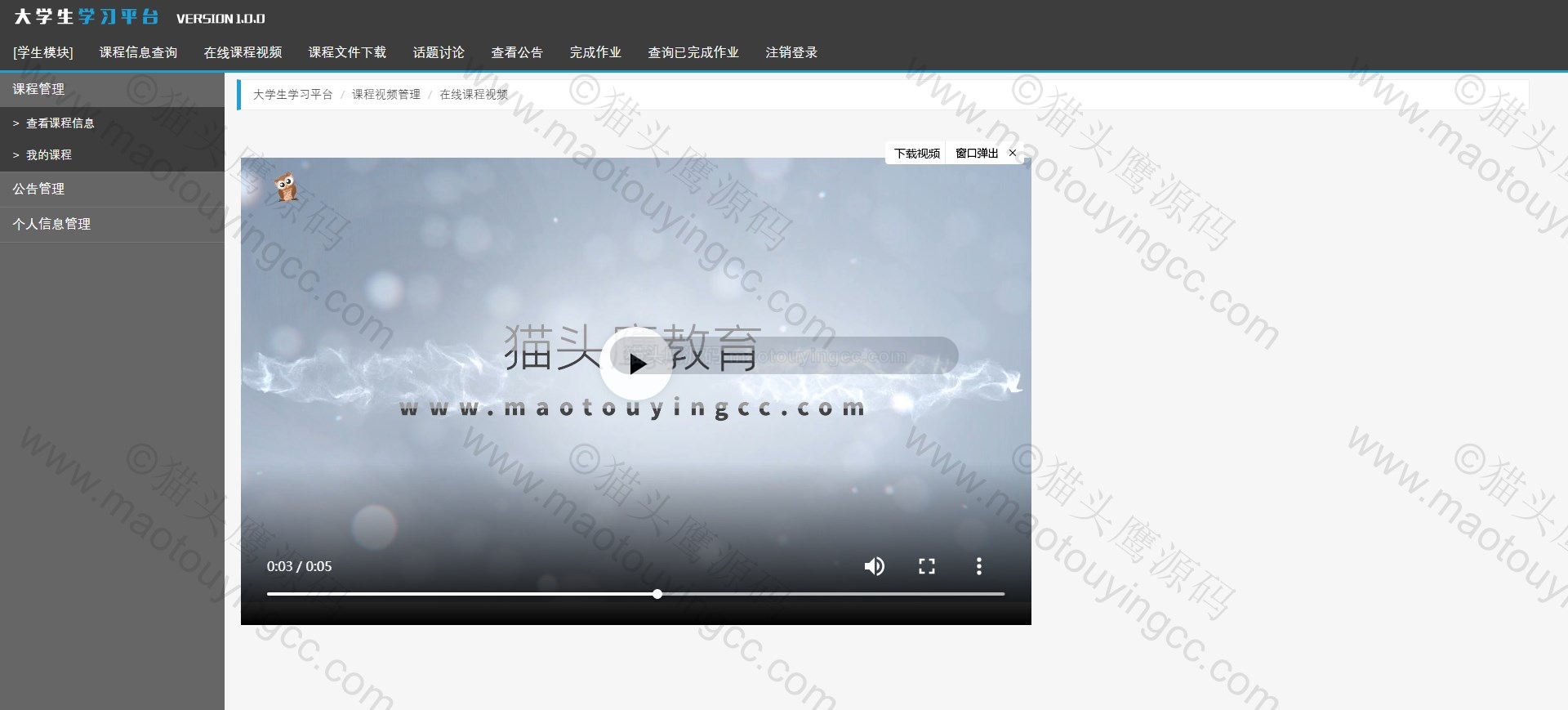 基于SSM的作业管理(在线学习)系统封面