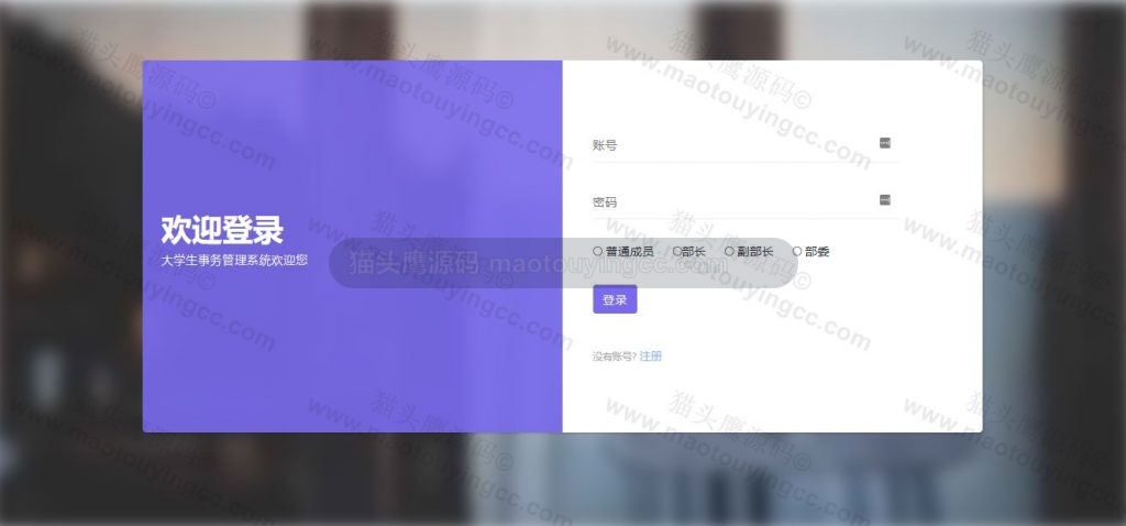 项目截图 3