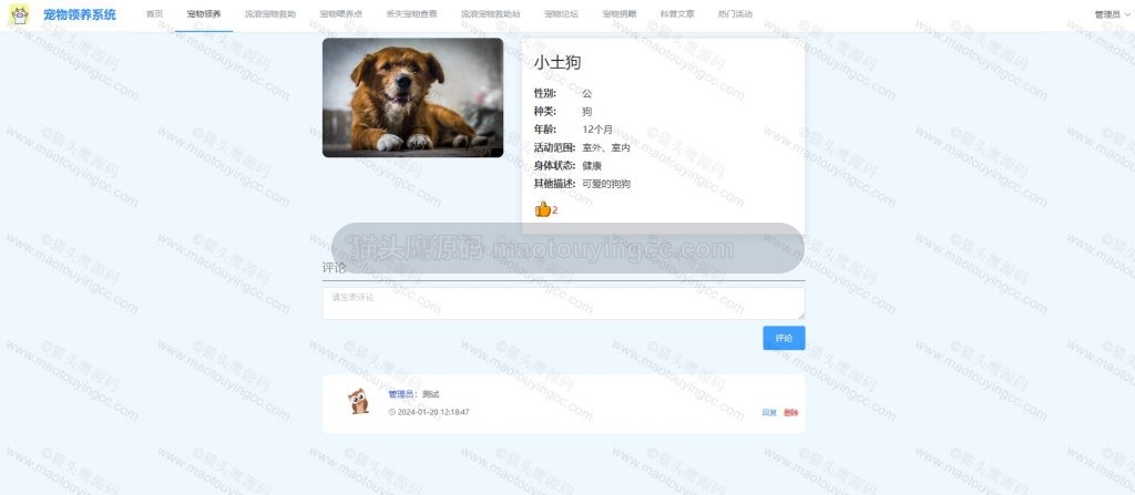 领养详情