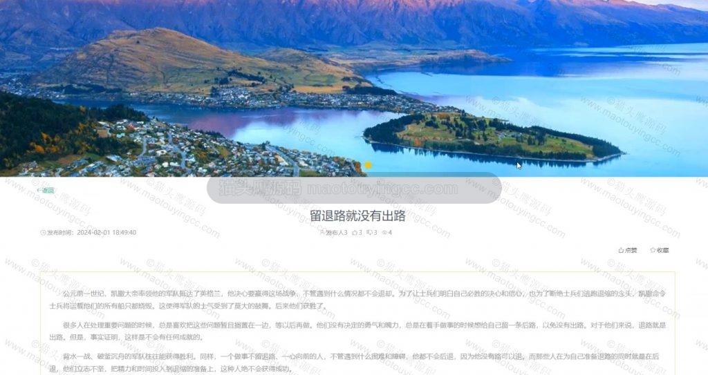公告详情