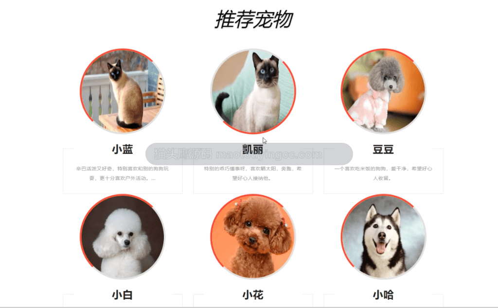 基于协同过滤推荐算法SSM的流浪猫狗领养救助系统(含参考论文) 项目截图