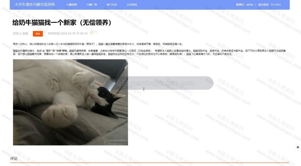 详情