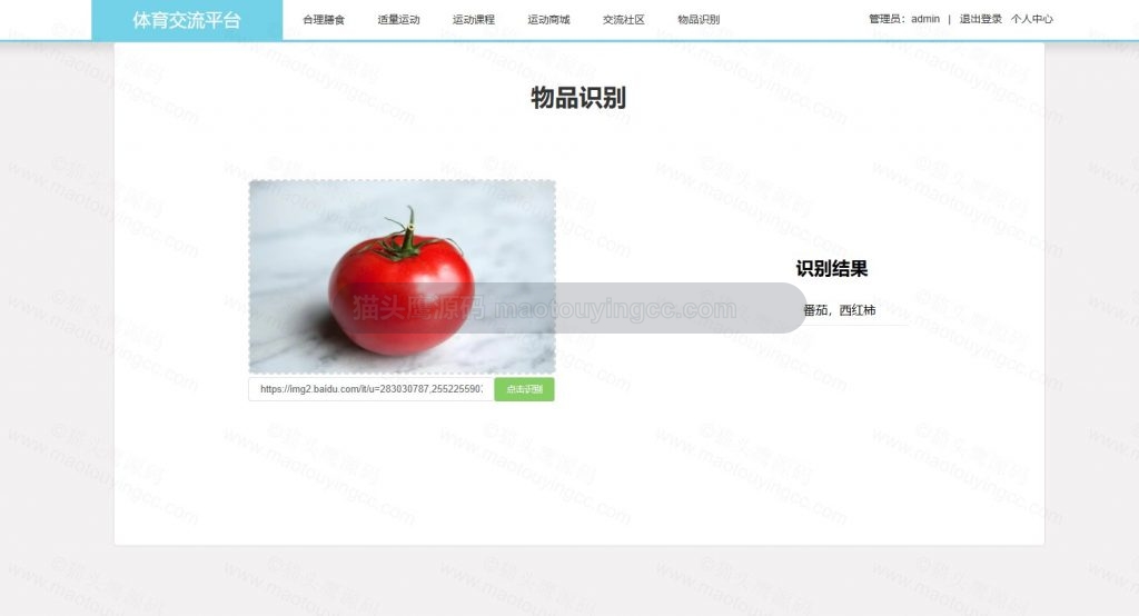 物品识别