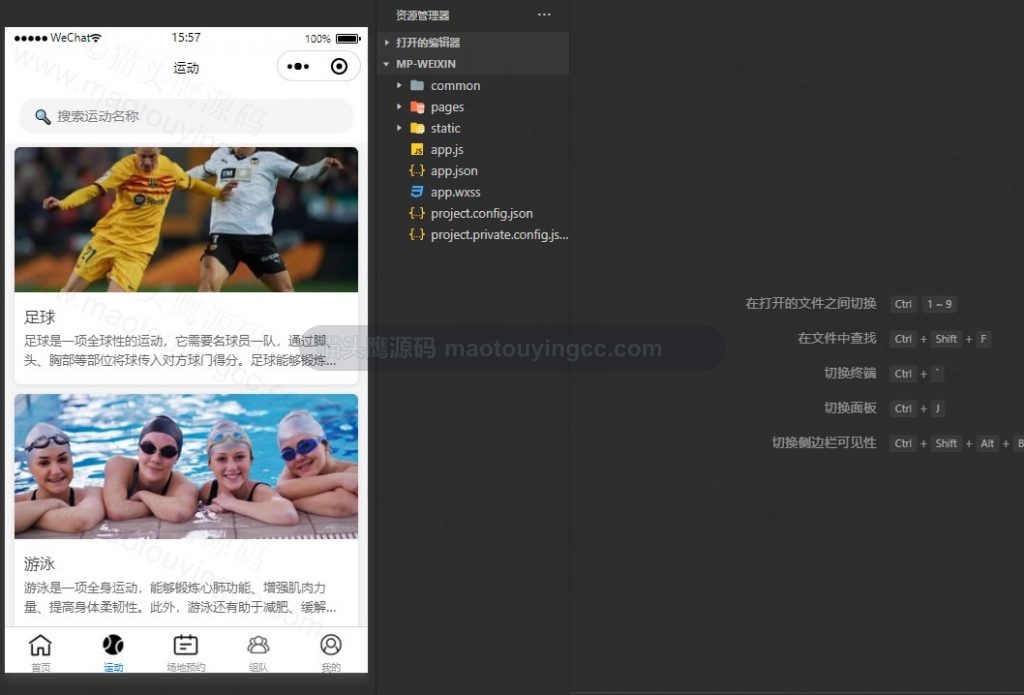 运动