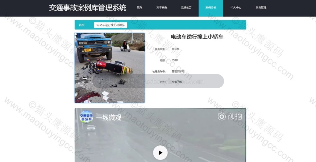 案例分析 详情