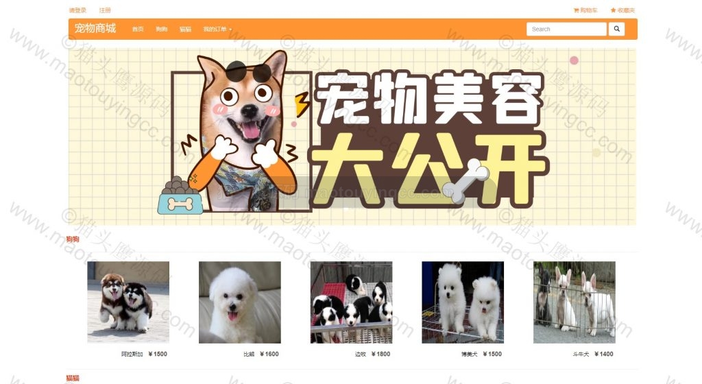 首页
