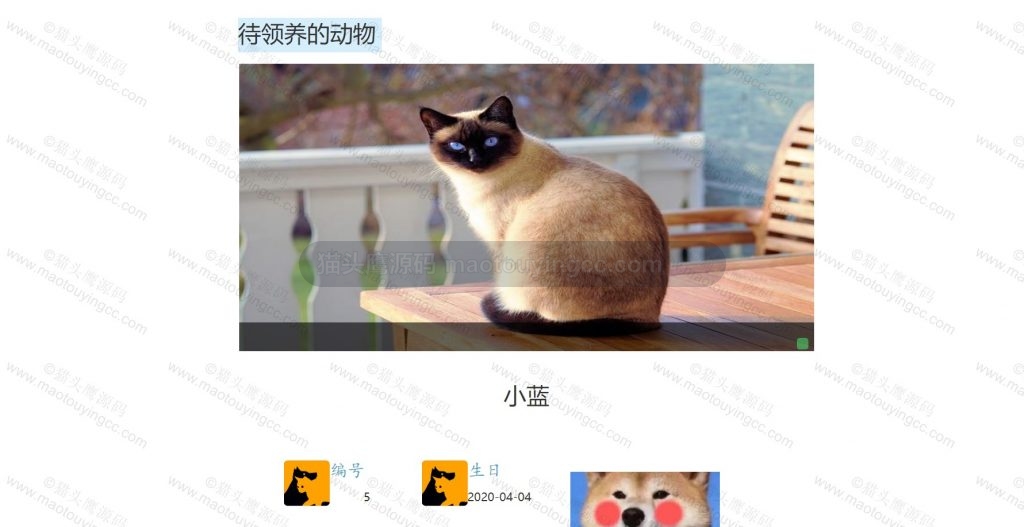 领养详情