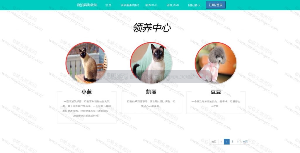 领养中心