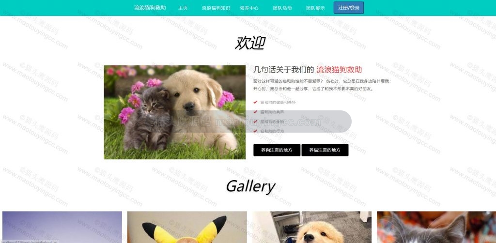 图册