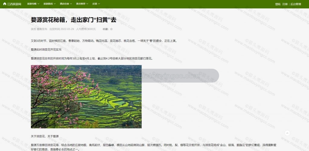 攻略详情