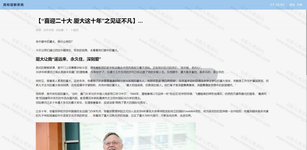 文章详情