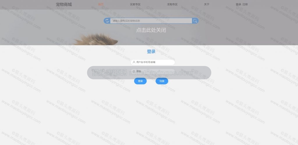 登录注册