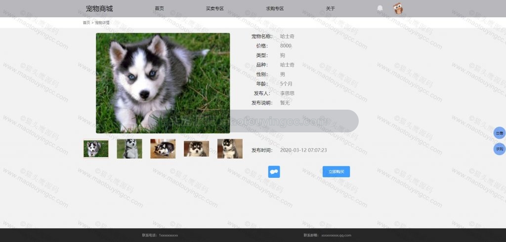 宠物详情