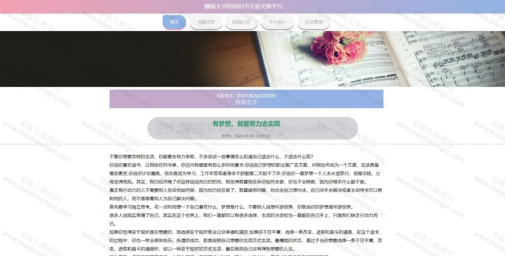 公告详情