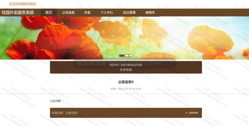 公告详情