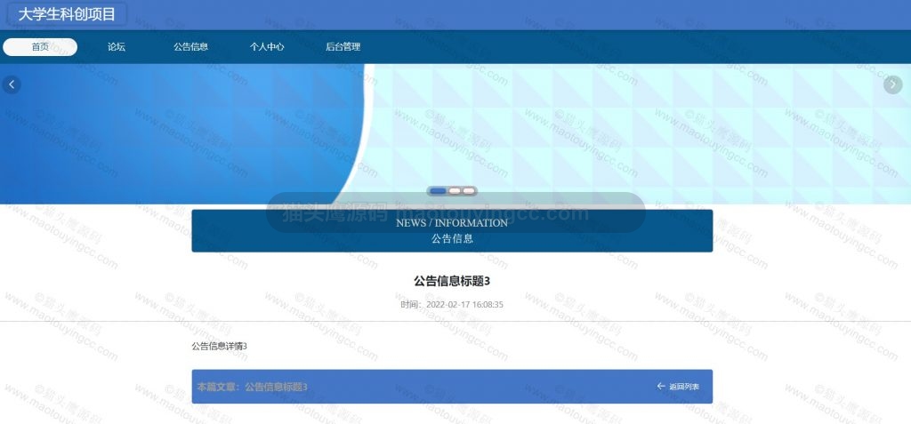 公告详情