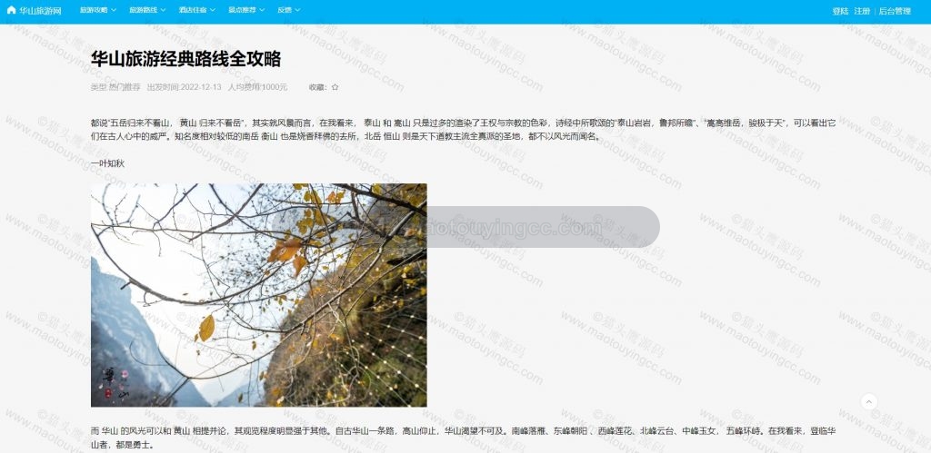 攻略详情