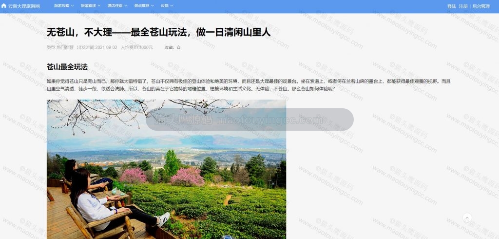 攻略详情
